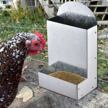 Automatic Poultry Feeder with Metal Trough for Indoor