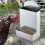 Automatic Poultry Feeder with Metal Trough for Indoor 1