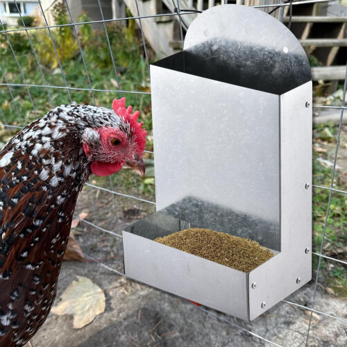 Automatic Poultry Feeder with Metal Trough for Indoor