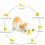 Interactive Windmill Cat Toy with Catnip LED Ball and 2