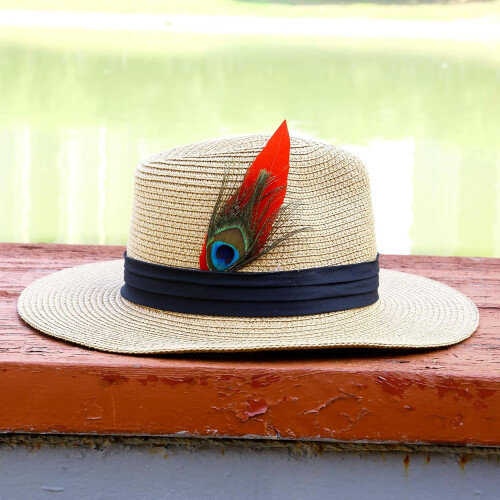 Hat Feathers 20 pcs 10 styles peacock natural 1