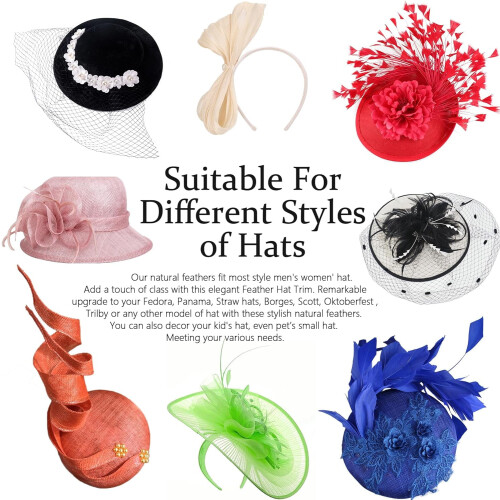 Hat Feathers 20 pcs 10 styles peacock natural 2