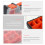 Electronic Component Storage Box with Compartments 4