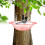 Bird Bath Tray Tree-Mounted 9.2 in x 2.7 in 2