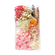 Butterfly Sticker with Real Floral Leaves for Resin Crafts