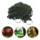 Portable Outdoor Hammock Nylon Mesh with Hooks Dark Green 6