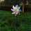 Bird Repeller Spinner Reflective Windmill for Garden 1 Pack 4