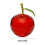 Crystal Faceted Apple Ornament Stand Glass Rotatable Base 3