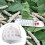 Silkworm Breeding Box Gray Breathable Educational Habitat 6