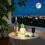 Acrylic Pineapple LED Night Light Nordic Decor 1 Piece 7