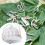 Silkworm Breeding Box Gray Breathable Educational Habitat 7