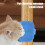 Cat Self-Grooming Brush for Table Legs Adjustable Silicone 3