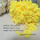 Bulky Loop Yarn for Finger Knitting 3 Pack 5