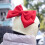 Motorcycle Helmet Bow Decoration Z2 4