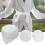 Cotton Tie Bathrobe Belt Replacement for Men Bridesmaid 8