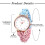 Women's Braided Elastic Quartz Watch Multicolor 4