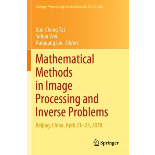 Mathematical Methods in Image Processing and Inverse Problems IPIP 201