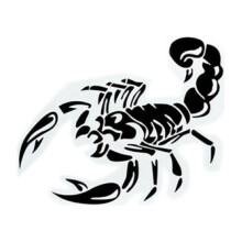 3D Scorpion Car Sticker PVC Waterproof for Body Window