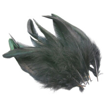 Black Chicken Feathers for Crafts 50 Pieces