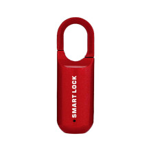 USB Charging Fingerprint Padlock USB-C Compact