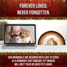 Rainbow Bridge Dog Memorial Gifts, Pet Memorabilia, Condolence and Comfort Gifts for Who Have Lost Their Beloved Dogs
