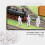 100Pcs HO Scale 1:100 White Model People Unpainted Train Figures 7