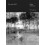 Seriously Well by Helge Torvund Paperback Book 1