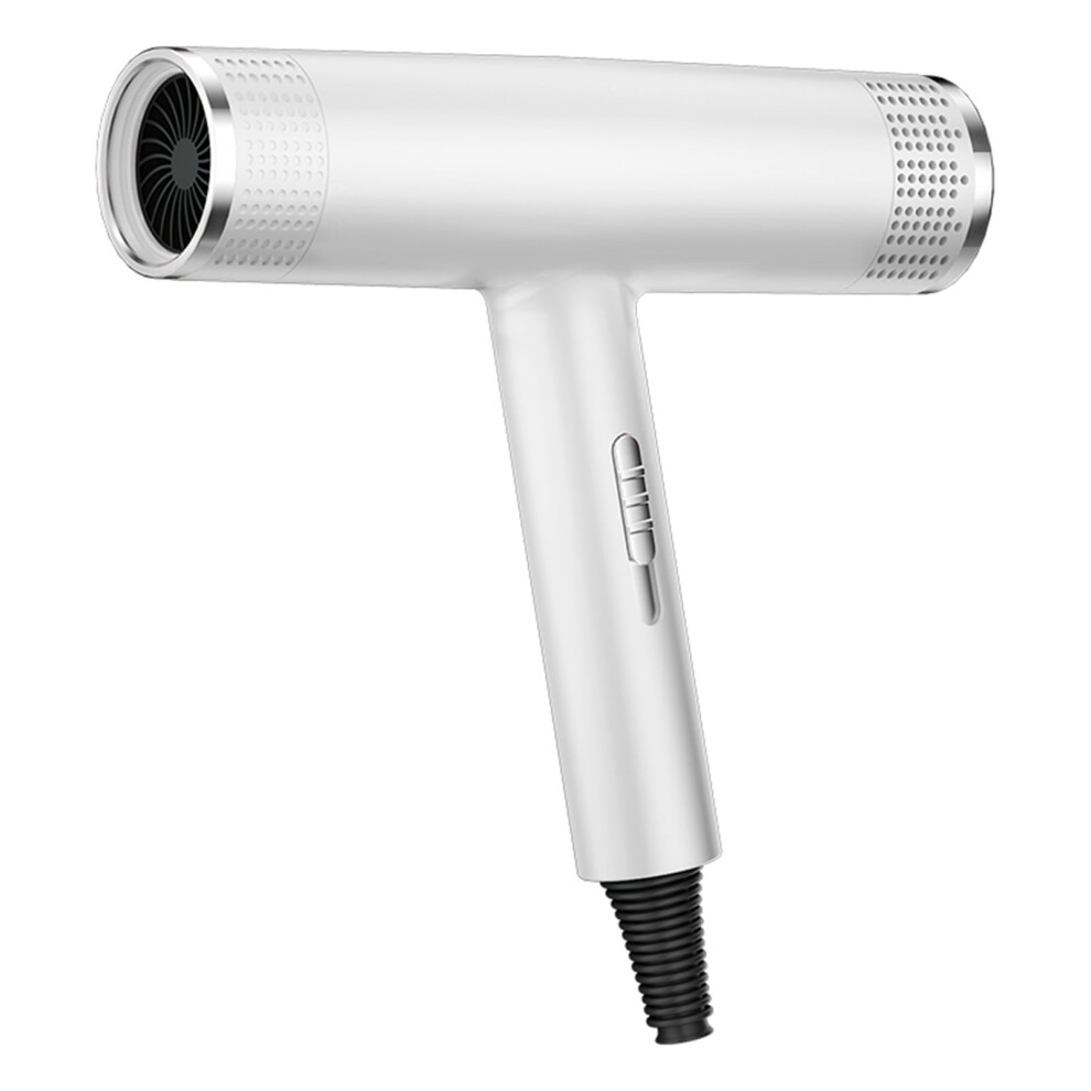 Ionic Hair Dryer with Diffuser and Concentrator 400W