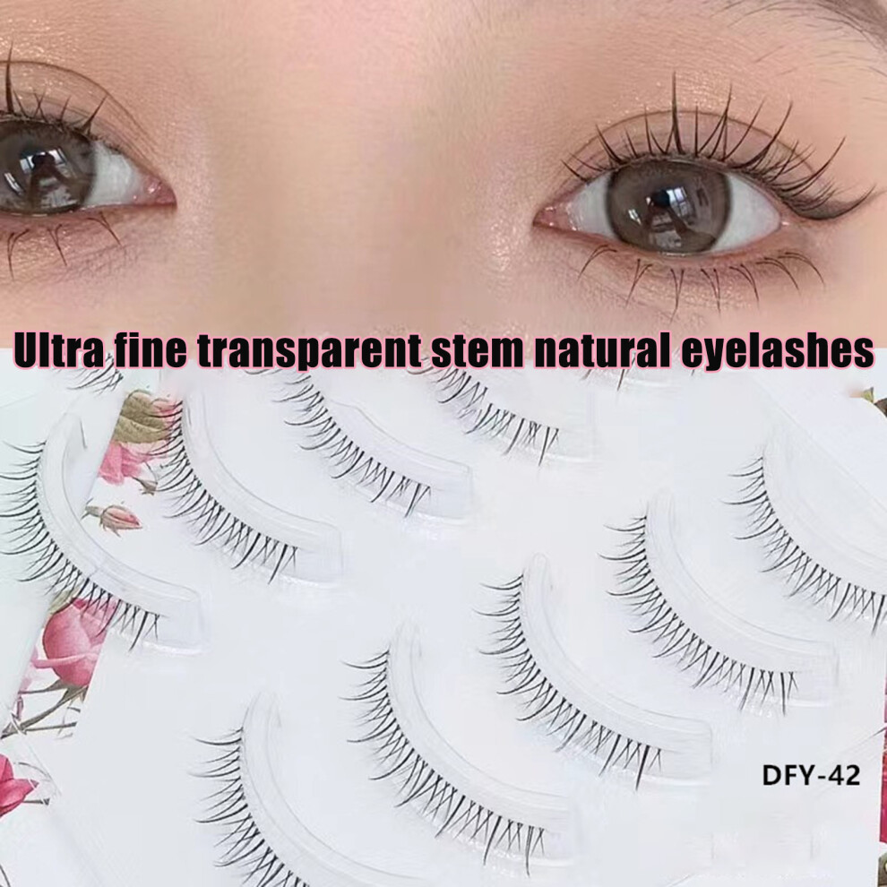 Dcph-Clothing (Dfy-42) 5 Pairs Natural Fluffy Lashes For Women