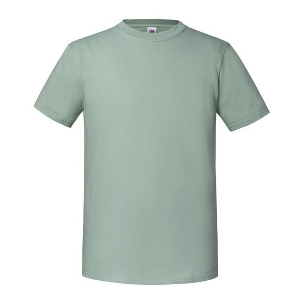Fruit Of The Loom (M Uk, Sage) Mens Iconic 195 Ringspun Premium Tshirt