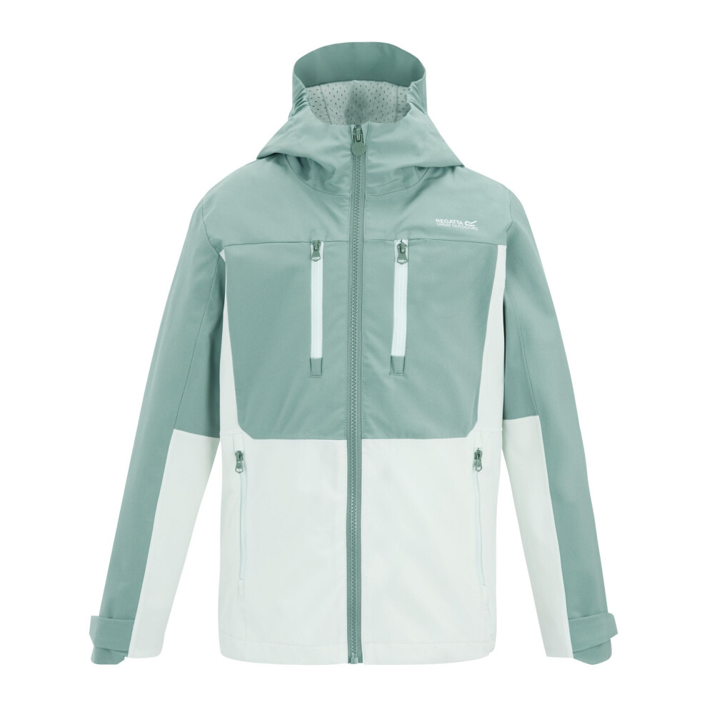 Regatta (15-16 Years, Ivy Moss/Ocean Mist) Childrens/Kids Highton Monochrome Waterproof Jacket
