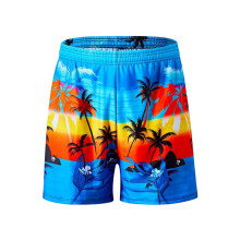 Heren Zwem Tropical Leaf Print Zwemshorts Stretch Zwemkleding Sneldrogende Strandshorts XKZ078260429X26 S