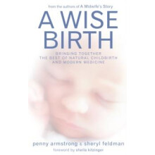 Wise Birth Bringing Together the Best of Natural Childbirth with Moder