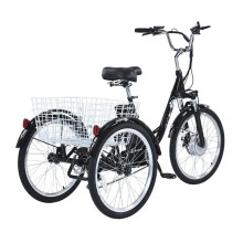 GOGOBEST GF100 Electric Tricycle 24" 15AH E-Tricycle 3 Wheels E-Bike +Basket NEW UK