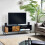 Alvin TV Unit 1