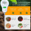 Soil Test Kit - Moisture, PH, Fertility, Sunlight, Temp & Humidity Meter with LCD Display 3-Pack 6