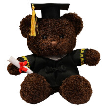 Graduation Bear Plush 14 inch with Gown Cap Diploma