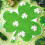 Seat Blanket Carpet Shape Green 1 pc 1