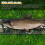 Portable Fish Measurement Tape 10/20/30 cm Width 7