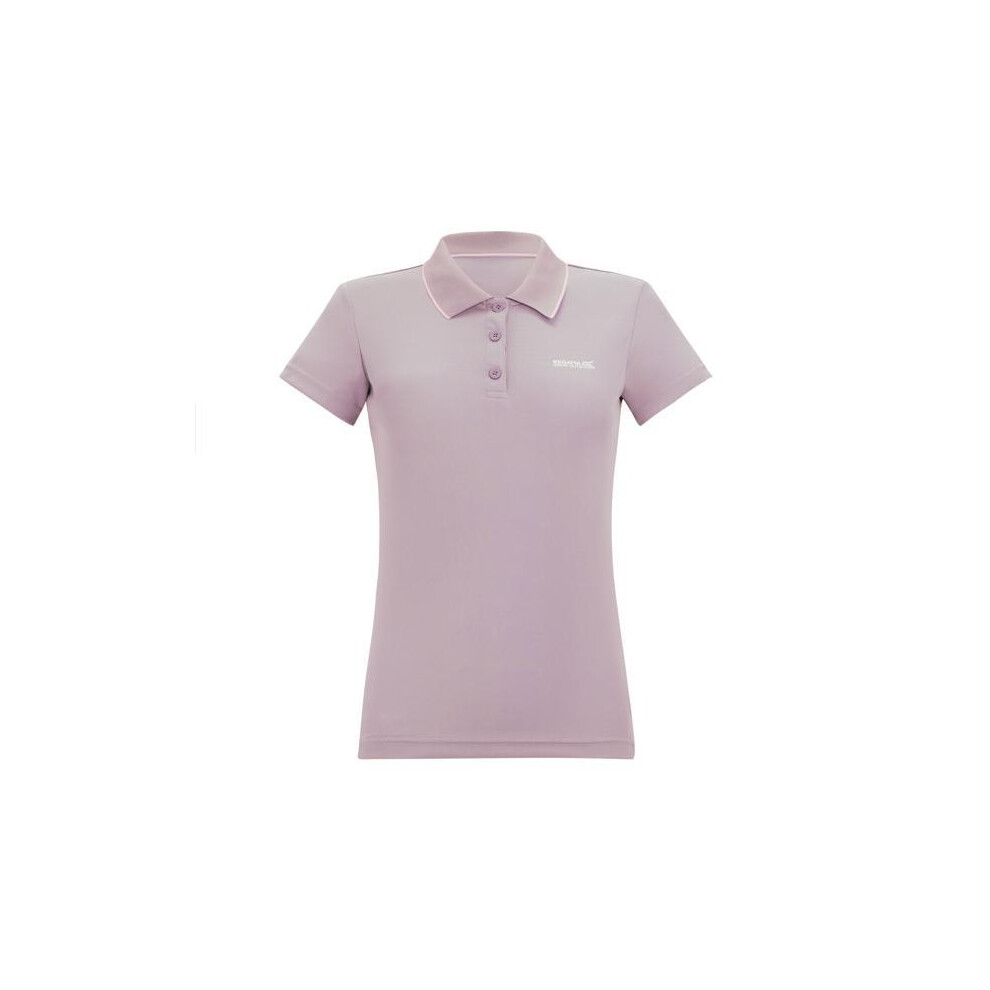 Regatta (10 Uk, Powder Lilac) Womens/Ladies Maverick V Polo Shirt