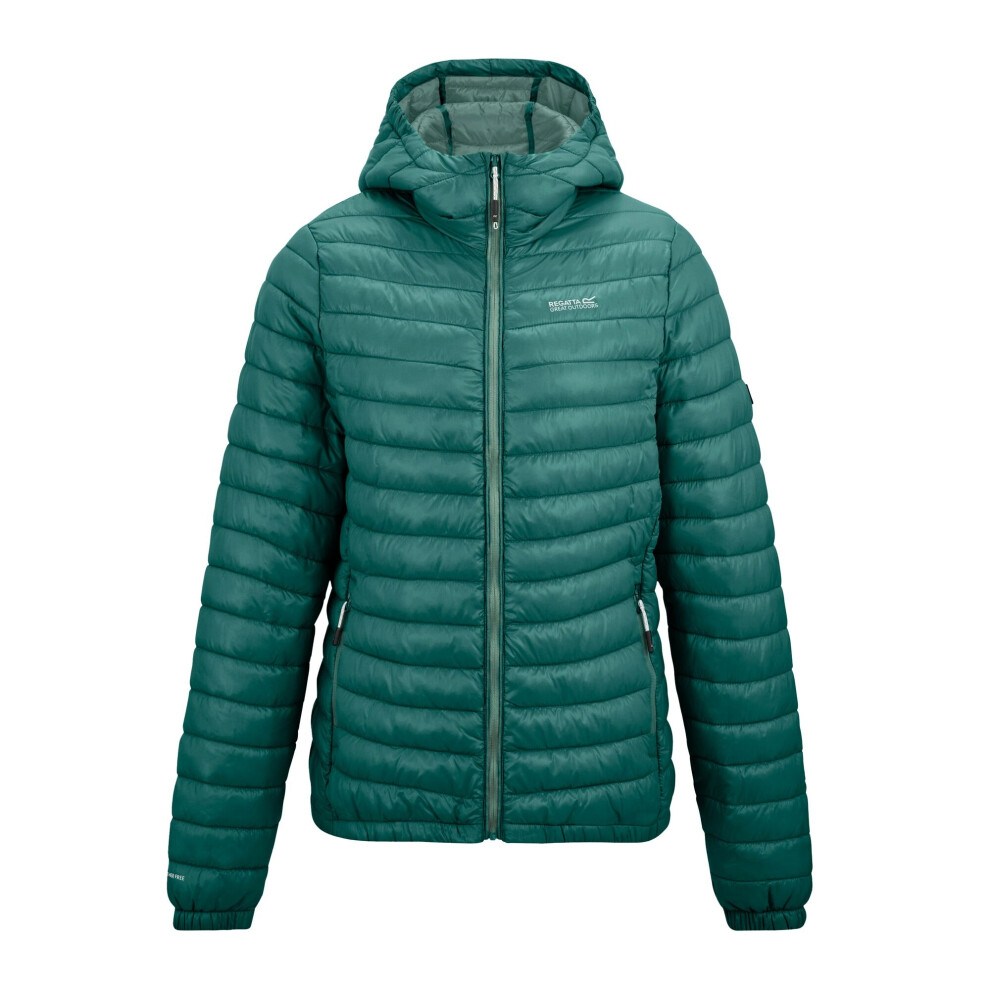 Regatta (18 Uk, Mediterranea) Womens/Ladies Hurden Padded Jacket
