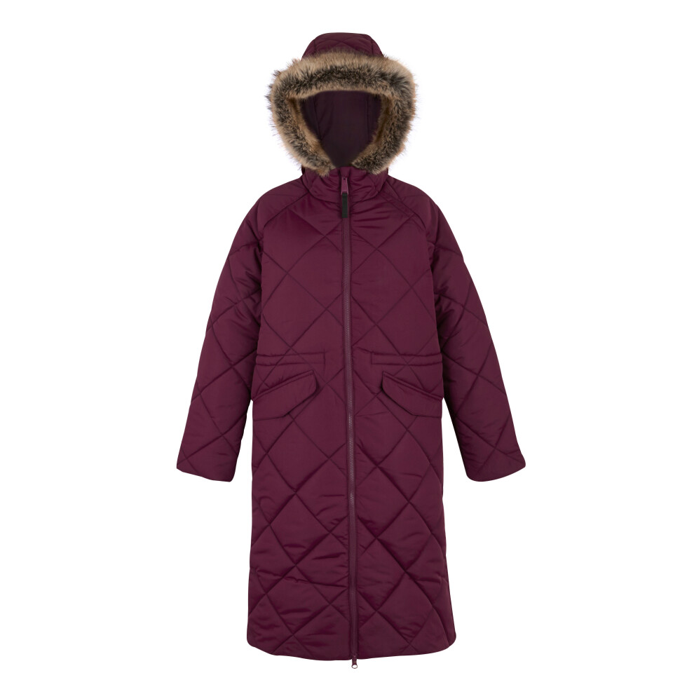 Regatta (10 Uk, Fig) Womens/Ladies Freyla Padded Jacket