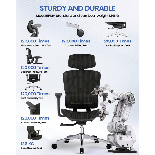 Ergonomic Office Chair with 3D Lumbar Support 2