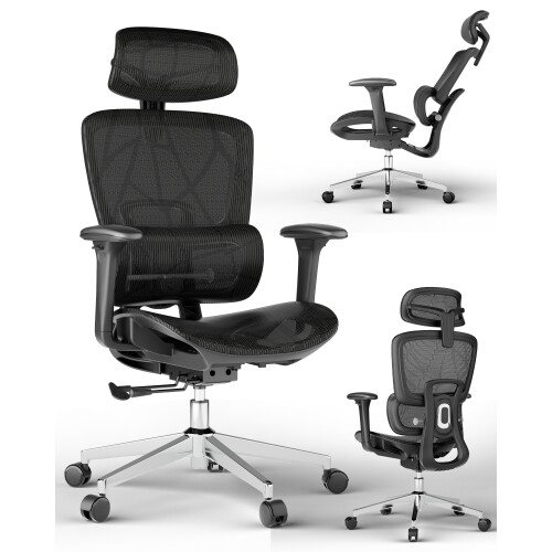 Ergonomic Office Chair with 3D Lumbar Support