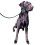 No More Pulling! Anti Pull Lead Field Figure 8 / Halter/Head Collar One Size Fit 1