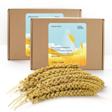 BUCATSTATE Millet Spray for Birds, Sun-Dried Healthy Millet Budgie Food Treats f