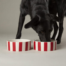 Amalfi Striped 2 Piece Dog Bowl Food & Water Bowl Set - Red - 19cm