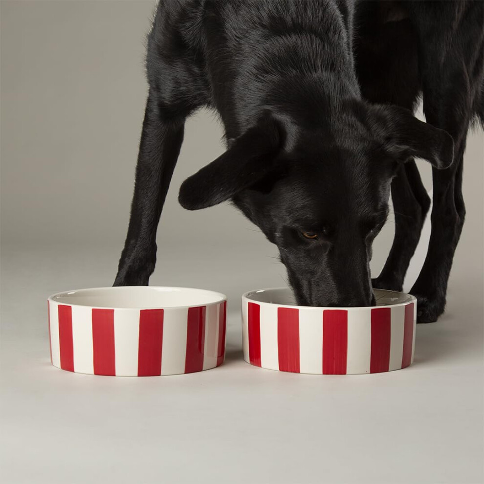 Photos - Other for Dogs Scruffs Amalfi Striped 2 Piece Dog Bowl Food & Water Bowl Set - Red - 19cm 
