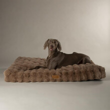 Scruffs Luxury Alpine Dog Bed Mattress (XL)