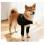 Pet Shoulder Support Brace - Canine Front Leg Joint Protection & Warming Wrap  S 4
